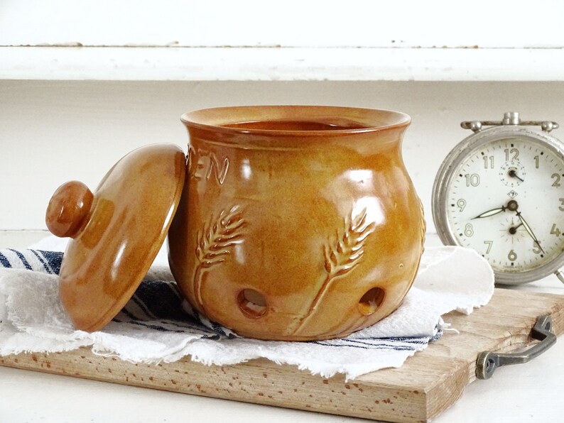 Home & Living Ceramic Garlic Keeper Crock Rustic Terracotta Garlic