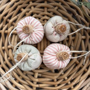 May include: Four small fabric pumpkins with jute stems and attached twine loops. Two pumpkins feature a red and white striped pattern, one is solid beige, and one is solid sage green. Each pumpkin has a gathered, rounded shape with visible stitching.