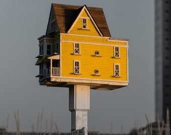 Bird House Print / Photo, Yellow Birdhouse, Selective color