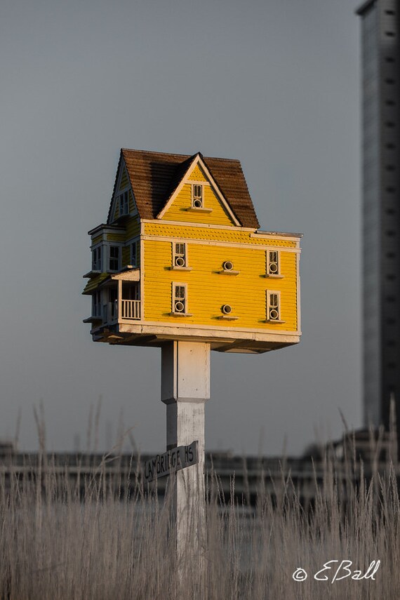 Bird House Print / Photo, Yellow Birdhouse, Selective color