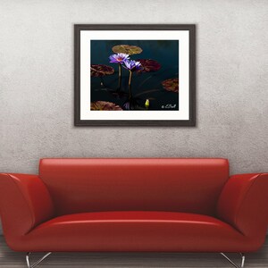 Lotus Flower Photo Print Wall Art Home Decor Purple Violet Reflection Bloom Water Lily image 2