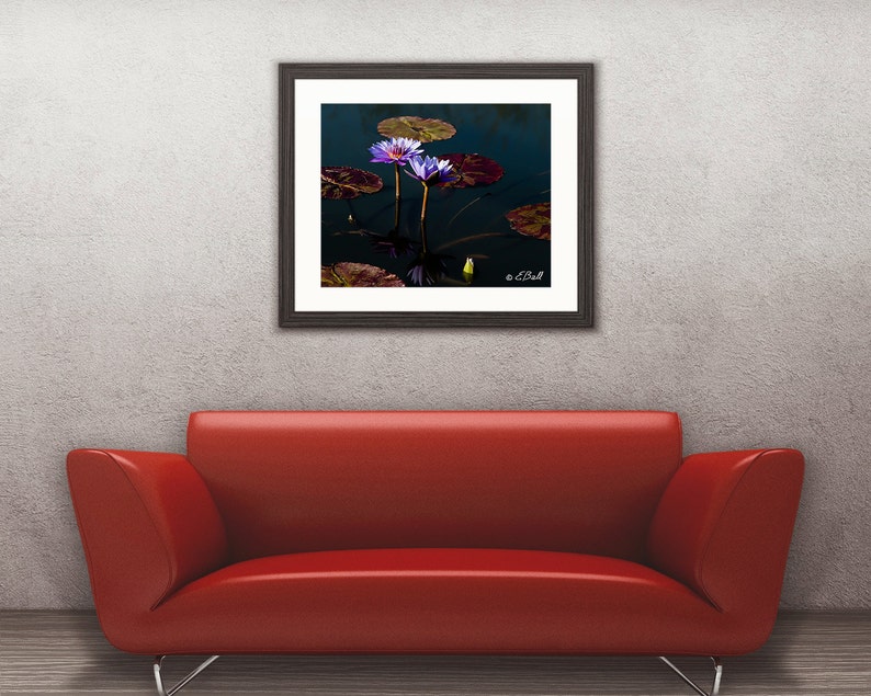 Lotus Flower Photo Print Wall Art Home Decor Purple Violet Reflection Bloom Water Lily image 2