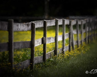 Fence Photograph Art Print , Yellow Wild Flower Art, Long post and Rail