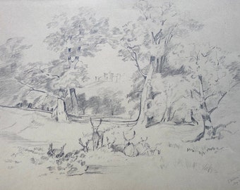 Signiert von J Wilson, 1850, Original, antike Bleistiftskizze aus dem 19. Jahrhundert, Studie eines Hirsch- und Hirschparks mit englischer Landschaft in der Ferne