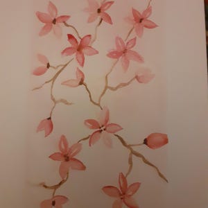 Botanica da cartolina