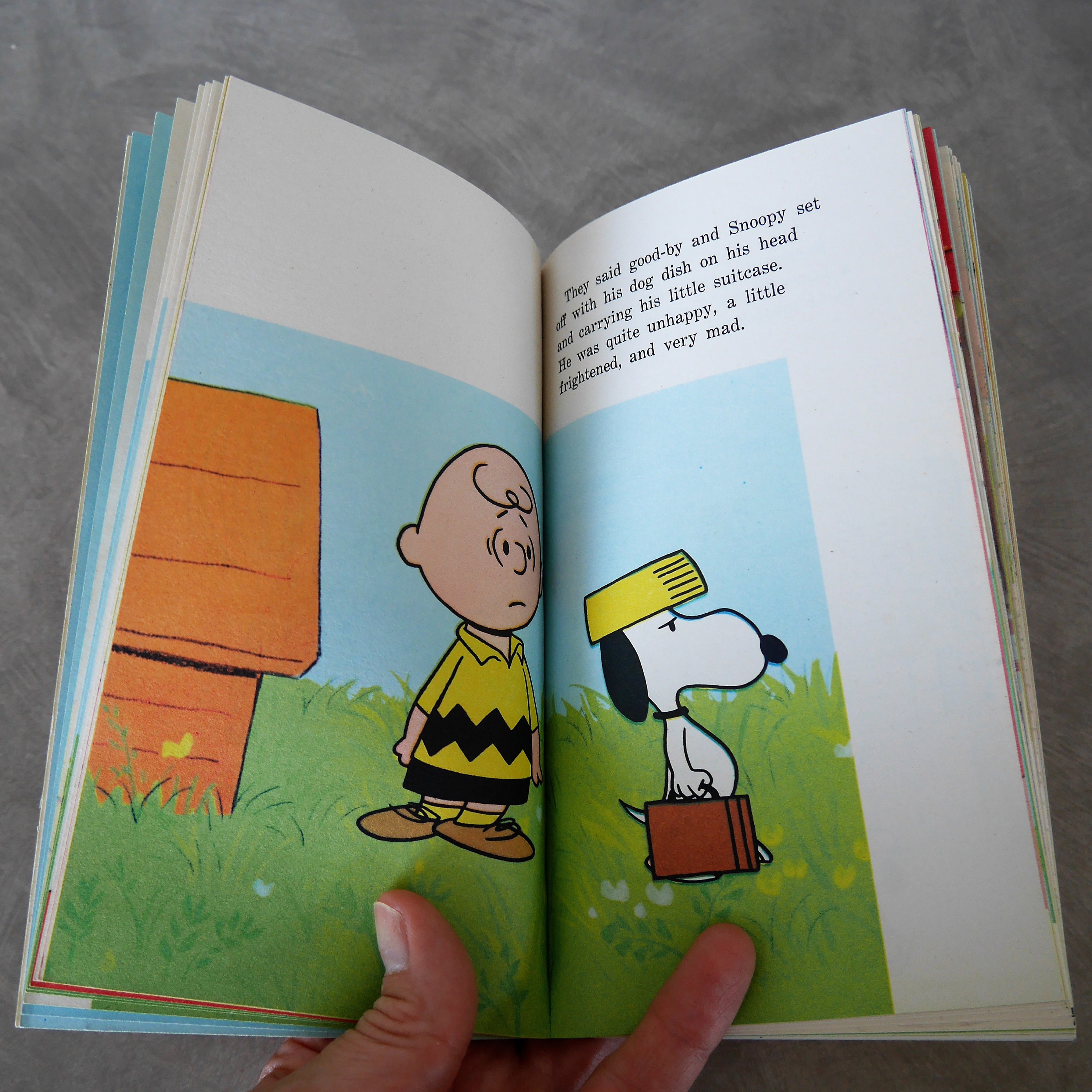 Vintage Peanuts Paperback Book he's Your Dog Etsy