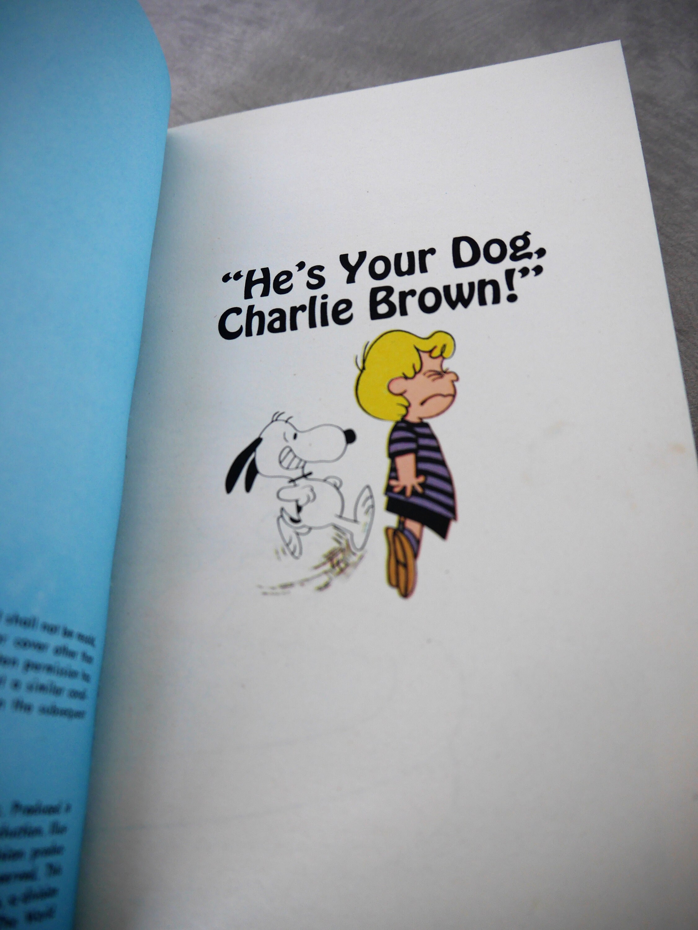 Vintage Peanuts Paperback Book he's Your Dog Etsy