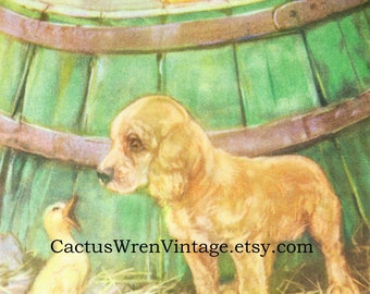 Original Cocker Spaniel Puppy & Baby Ducks Lithographic Book Plate, Diana Thorne 1935