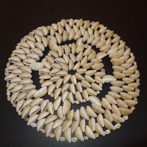 May include: A circular arrangement of cowrie shells, a type of sea shell, in a spiral pattern. The shells are a light beige colour with brown stripes.