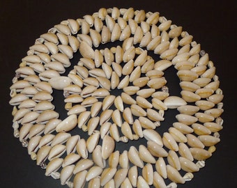 Vintage Cowrie Sea Shell Trivet ,Doily, Great beach Decor - 8" -Cowrie shell trivet.