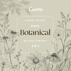 花柄の線画、植物の線画PNG、クリップアート、ウェディングフラワー、手描きの野花、ミニマルな植物PNG