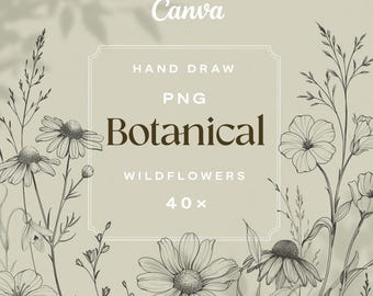 Floral Line Art, Botanical Line Art PNG, Clipart, Wedding Flowers, Hand Drawn  wildflowers, Minimal Botanical PNGs