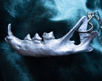 Cat jaw pendant, ethically sourced metal taxidermy object, handmade recycled aluminum bone jewelry, oddities