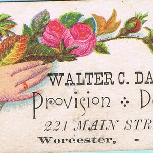 Charmoso conjunto de cinco cartões comerciais vintage - Walter C Davis, revendedor de provisões, 221 Main Street, Worcester, Mass.