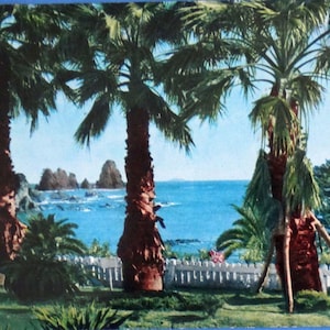 Vintage buitenlandse echte fotopostkaart Izu National Park, Japan, Irozaki Sea Shore Minoshima (tropische plantkunde) palmbomen ansichtkaart nooit gebruikt