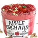 Apple Orchard Scented Floam Slime W/Apple Charm Free Slime/Extras Cottage core Farmhouse Gift Idea for Kids Slime Shop Fall Party Favor Toy