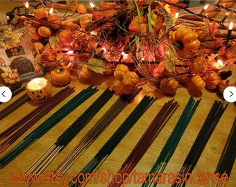 100 Fall Scented Incense Sticks: 10 ea. of 10 scents Autumn Fragrance Variety Pack