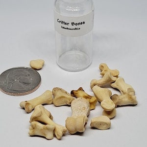 CRITTER BONES in a Bottle