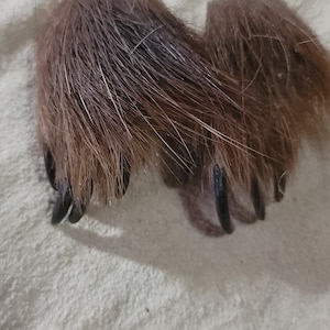 CRITTER FEET!!!