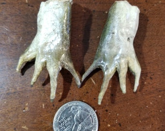 PATAS DE RANA liofilizadas