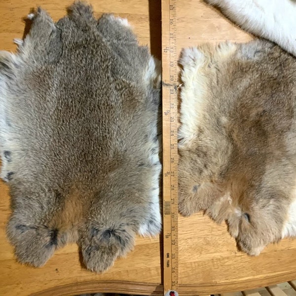 Natural Colors - White and Brown RABBIT SKINS / PELTS