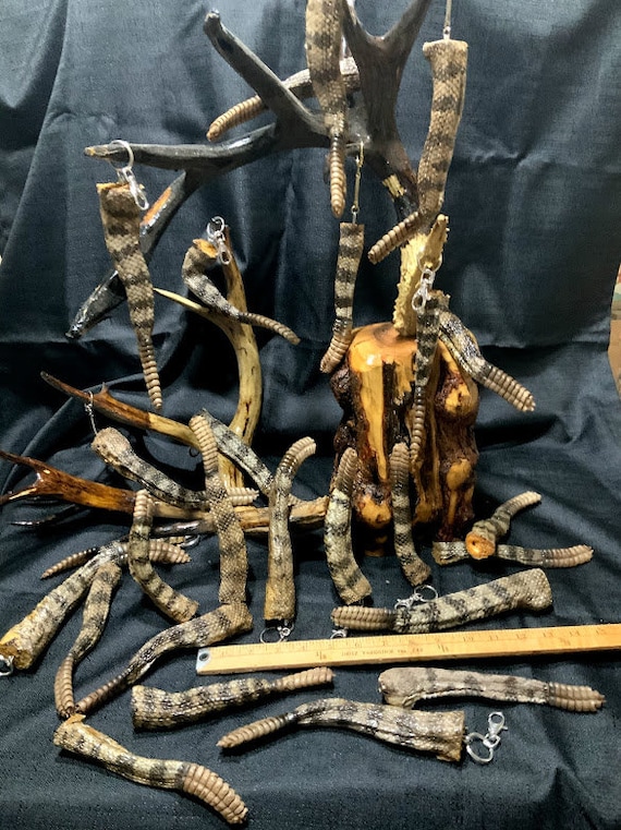 Freeze Dried RATTLESNAKE 'COON' Tails - With Rattlers! - up to 8