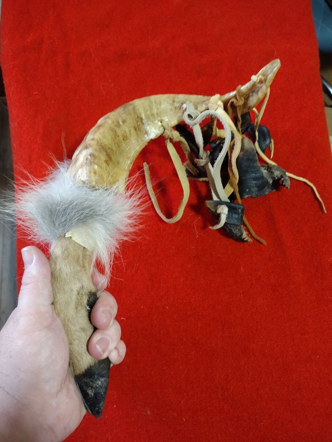 Deer Toe Rattle With RAM HORN and Deer Foot Handle. Etsy
