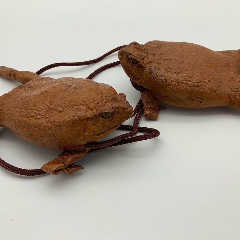 SUGAR CANE TOAD Purse Very Unique and Quirky Expressions Etsy