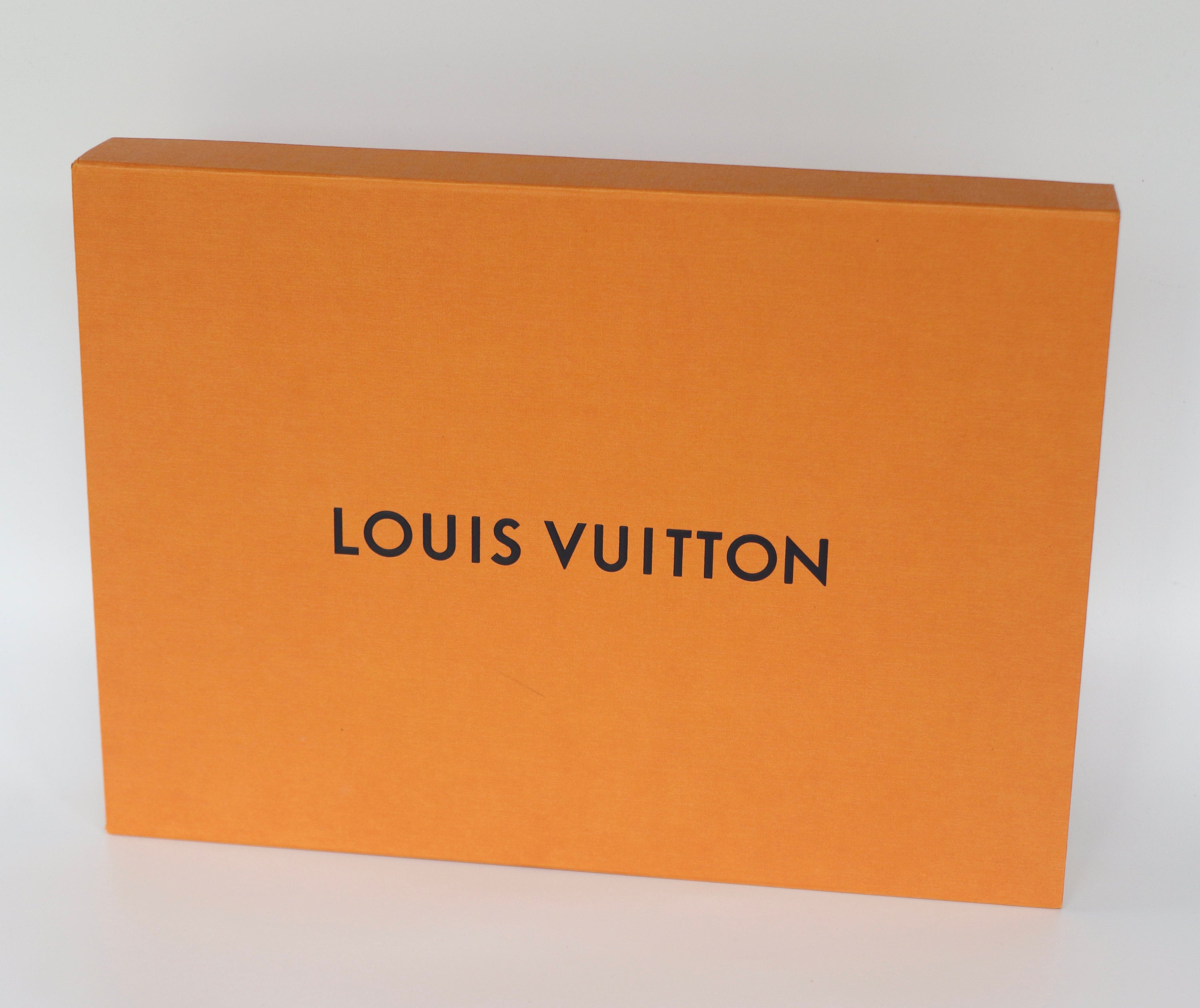 New Authentic Louis Vuitton Lv Orange Gift Bag And Magnetic Empty