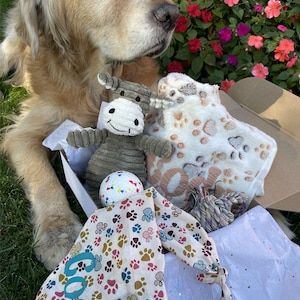 Personalized dog box, New Puppy gift box, Dog Box, New Pet Gift, New Puppy Gift,New Dog Gift, Dog Christmas Gift Box, Dog Toys, Dog Mom Gift