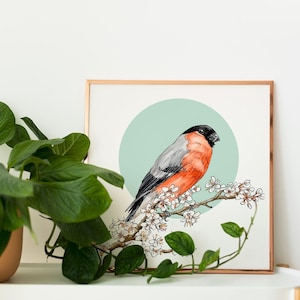 Bullfinch and Blossom Art - Print after a Bird Illustration made with Ink and Watercolour - Small Garden Bird - Bird Lovers Gift - Wildlife