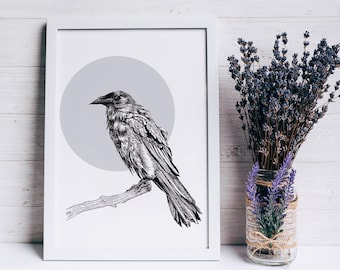Raven Art Print - A4 Black and White Raven Ink and Pen Drawing - Crow Illustration Black - Bird Art - Corvidae Lovers Gift - British Birds