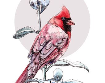 Northern Cardinal Print - Red Bird Illustration - Watercolour and Ink Drawing of a Cardinal - Digital Print Wall Décor - Flower and Bird Art