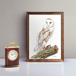 Barn Owl - Original Watercolor of an Owl - Watercolour & Ink Drawing - Nib Pen Drawing - Woodland Creature - Wildlife Drawing - Bird Art