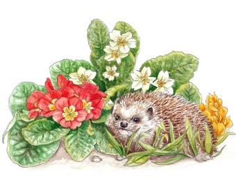 Primroses and Hedgehog Original Illustration - Ink and Watercolour - Cute Garden Animal and Flowers - Nature Décor - Nursery Art - Whimsical