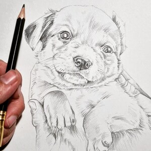 Puede incluir: Un dibujo a l&aacute;piz en blanco y negro de un cachorro con la cabeza inclinada y una pata apoyada en la cara. El cachorro est&aacute; dibujado en un estilo realista con detalles de pelaje y rasgos faciales.
