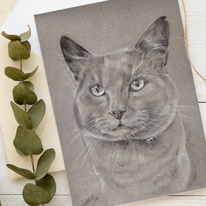 Pet Portrait Drawing - Small Pet Portrait Drawing from photo - A5 Pencil Drawing of a Cat, Dog, or any other beloved Pet - Pet Owners Gifts