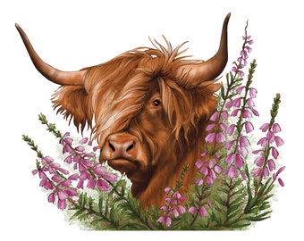 Highland Cow & Heather Print - Heilan Coo Drawing - Hairy Coo Digital Illustration - Scottish Wildlife - Scotland Animals Art - Farm Animals