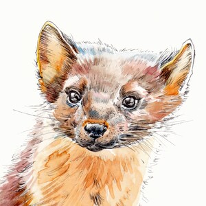 May include: A watercolor painting of a brown and white marten with a curious expression. The marten's fur is detailed with soft brushstrokes, and its eyes are large and dark.