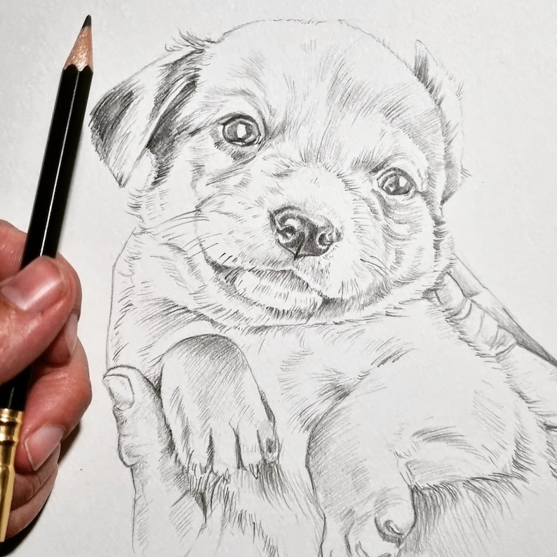 Puede incluir: Un dibujo a l&aacute;piz en blanco y negro de un cachorro con la cabeza inclinada y una pata apoyada en la cara. El cachorro est&aacute; dibujado en un estilo realista con detalles de pelaje y rasgos faciales.
