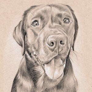 Puede incluir: Un perro Labrador Retriever negro con ojos marrones y la lengua fuera. El perro est&aacute; mirando directamente al espectador. El dibujo est&aacute; hecho a l&aacute;piz sobre papel marr&oacute;n.