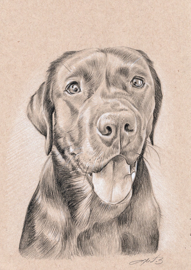 Puede incluir: Un perro Labrador Retriever negro con ojos marrones y la lengua fuera. El perro est&aacute; mirando directamente al espectador. El dibujo est&aacute; hecho a l&aacute;piz sobre papel marr&oacute;n.
