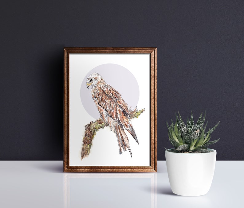 Red Kite Print Scottish Bird of Prey British Wildlife Watercolour Raptor Print Bird Watchers Gift Endangered Species of Scotland image 3