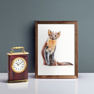 May include: A watercolor painting of a brown and black pine marten sitting on a white background. The marten is looking at the viewer with a curious expression.
