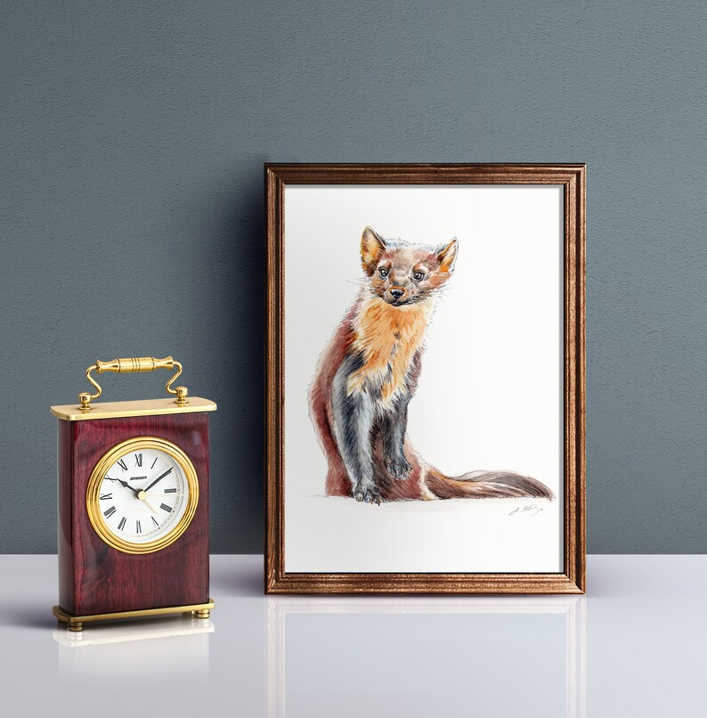May include: A watercolor painting of a brown and black pine marten sitting on a white background. The marten is looking at the viewer with a curious expression.
