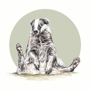 Op de afbeelding: Een zwart-witte das met een witte streep op zijn gezicht zit met gespreide poten op een lichtgroene achtergrond.