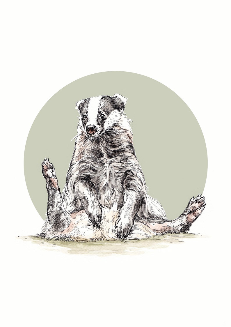Op de afbeelding: Een zwart-witte das met een witte streep op zijn gezicht zit met gespreide poten op een lichtgroene achtergrond.