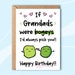 Funny Grandpa Birthday Card, Funny Birthday Card for Grandad, Silly ...
