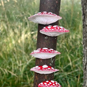 Fly Agaric Mushroom Shelf Fridge Magnets, Cottagecore Faerie Home Decor, Magick Elf Kitchen accessories