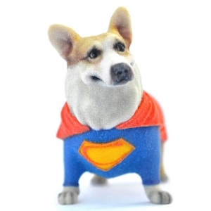 May include: A brown and white dog wearing a blue and red superhero costume with a yellow symbol on the chest.